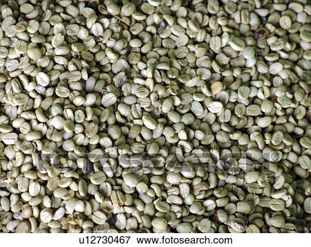 honduras, pattern, person, coffee, nature, people View Large Photo Image Stock Photo - honduras, pattern, person, coffee, nature, people. Fotosearch