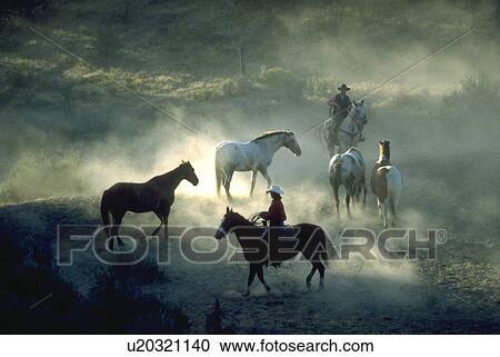 Stock Image - horses, cowboys, walking, up, rounding, two. Fotosearch
