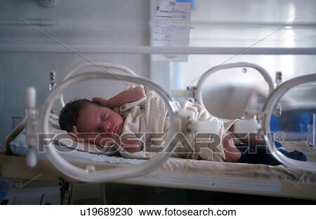 incubator, people, 4419, person, hand, baby View Large Photo Image Stock Image - incubator, people, 4419, person, hand, baby. Fotosearch