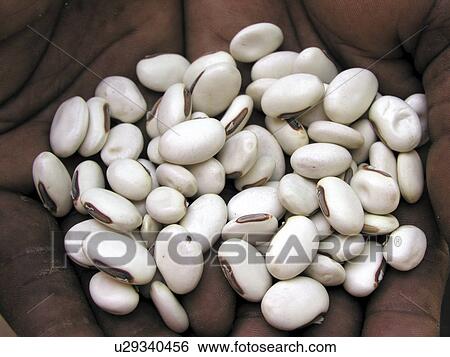 Stock Photograph - jack, pattern, zambia, person, nature, people. Fotosearch