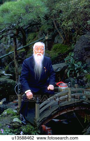 japanese, swimming, carps, garden, water View Large Photo Image Stock Image - japanese, swimming, carps, garden, water. Fotosearch