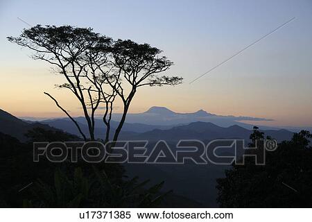 kilimanjaro, person, mt, mount, tanzania, people View Large Photo Image Stock Photography - kilimanjaro, person, mt, mount, tanzania, people. Fotosearch