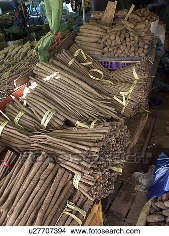 Picture - korea, people, person, nature, pattern, food. Fotosearch