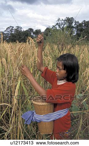Stock Image - krueng, hand, cambodia, person, girl, people. Fotosearch