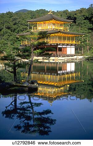 lake, golden, seen, kyoto, temple, reflection, kinkakuji View Large Photo Image Stock Photograph - lake, golden, seen, kyoto, temple, reflection, kinkakuji. Fotosearch
