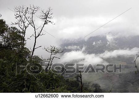 Stock Image - latin, person, lara, landscape, venezuela, people. Fotosearch