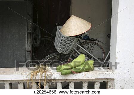 Stock Photograph - life, nature, still, vietnam, texture, pattern. Fotosearch