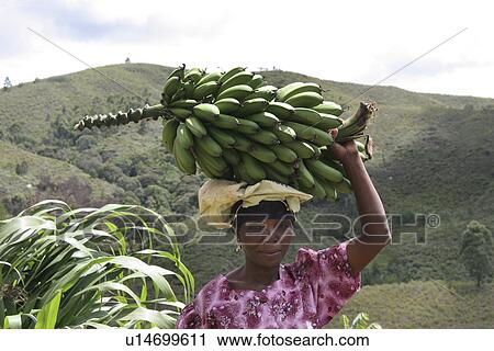 load, person, carrying, womanm, tanzania, people View Large Photo Image Stock Image - load, person, carrying, womanm, tanzania, people. Fotosearch