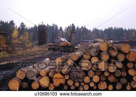 logs, people, environment, 3359, person, business View Large Photo Image Stock Image - logs, people, environment, 3359, person, business. Fotosearch