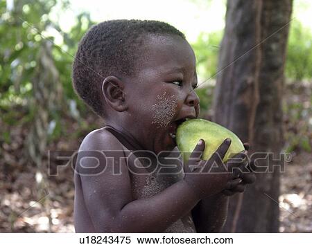 mango, person, eating, boy, zambia, people View Large Photo Image Stock Photography - mango, person, eating, boy, zambia, people. Fotosearch