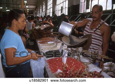 market, person, produce, cuba, 4359, people View Large Photo Image Stock Image - market, person, produce, cuba, 4359, people. Fotosearch