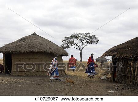 masai, house, tanzania, home, person, people View Large Photo Image Stock Photo - masai, house, tanzania, home, person, people. Fotosearch