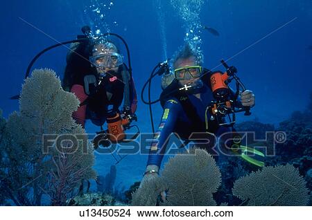 Picture - model, underwater, islands, cayman, divers, seen. Fotosearch