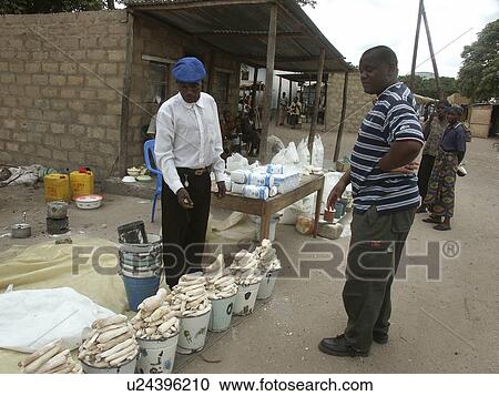 mongu, person, sale, cassava, zambia, people View Large Photo Image Stock Image - mongu, person, sale, cassava, zambia, people. Fotosearch