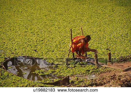 monk, people, cambodia, 4501, person, love View Large Photo Image Stock Image - monk, people, cambodia, 4501, person, love. Fotosearch