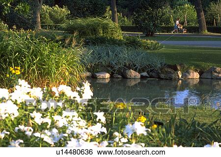 montreal, water, park, pond, view, baby View Large Photo Image Stock Photograph - montreal, water, park, pond, view, baby. Fotosearch