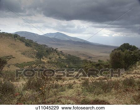 national, person, crater, ngorongoro, tanzania, people View Large Photo Image Stock Photo - national, person, crater, ngorongoro, tanzania, people. Fotosearch