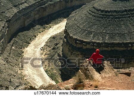 Picture - neck, figure, goose, vista, surveys, lone. Fotosearch