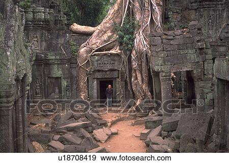 Stock Photo - old, ancient, courtyard, male, tree. Fotosearch