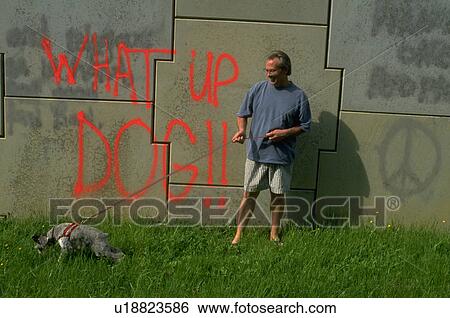 Stock Photograph - owner, schnauzer, away, get, strains, miniature. Fotosearch