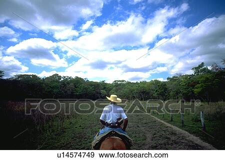 Stock Photo - pantanerio, back, rides, cowboy, horse. Fotosearch