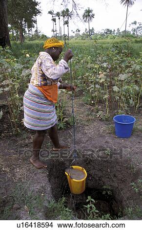 people, baji, gambia, person, woman View Large Photo Image Picture - people, baji, gambia, person, woman. Fotosearch