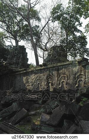Stock Image - people, prohm, cambodia, person, tree. Fotosearch