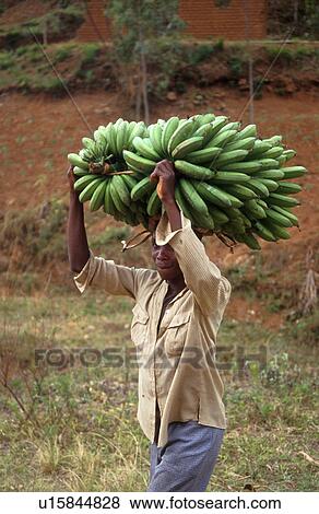 person, carrying, burundi, 3258, people View Large Photo Image Stock Photo - person, carrying, burundi, 3258, people. Fotosearch