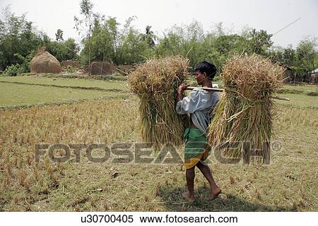 Stock Photography - person, carrying, male, bangladesh, people. Fotosearch