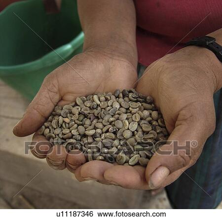 person, people, coffee, nature, pattern, woman View Large Photo Image Stock Photograph - person, people, coffee, nature, pattern, woman. Fotosearch