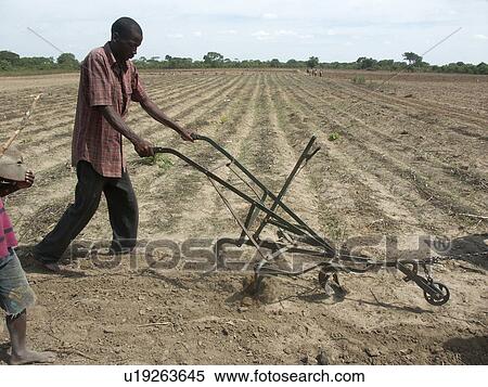 person, ripper, mugoye, zambia, people View Large Photo Image Stock Photography - person, ripper, mugoye, zambia, people. Fotosearch
