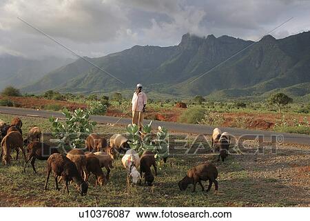 person, same, landscape, tanzania, people View Large Photo Image Stock Photo - person, same, landscape, tanzania, people. Fotosearch