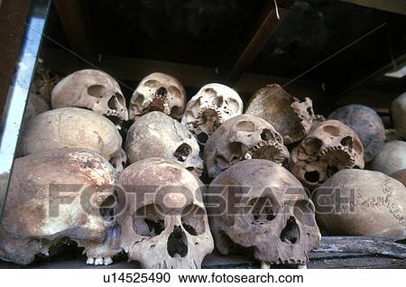 person, skulls, cambodia, 5480, people View Large Photo Image Stock Image - person, skulls, cambodia, 5480, people. Fotosearch