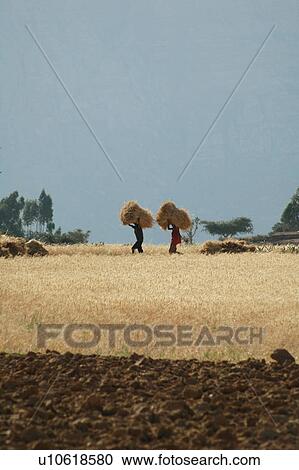 Stock Image - person, tigray, ghiraltar, ethiopia, people. Fotosearch