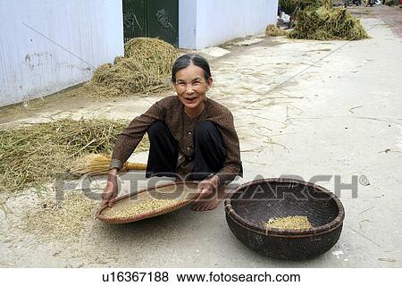 phuxuyen, people, female, vietnam, person, woman View Large Photo Image Stock Photo - phuxuyen, people, female, vietnam, person, woman. Fotosearch