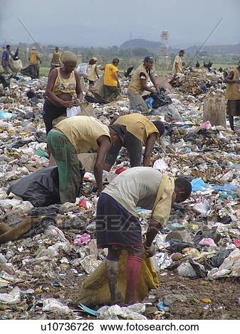 picking, person, scavengers, registered, brazil, people View Large Photo Image Stock Photograph - picking, person, scavengers, registered, brazil, people. Fotosearch