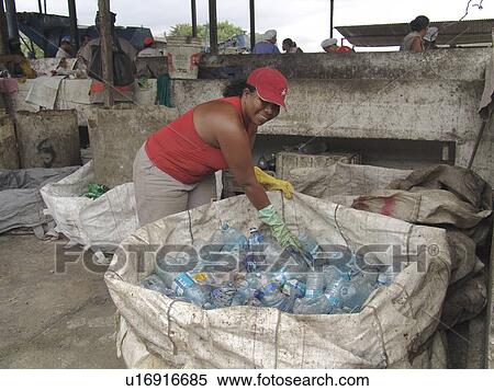 picking, person, scavengers, registered, brazil, people View Large Photo Image Stock Photography - picking, person, scavengers, registered, brazil, people. Fotosearch
