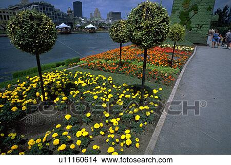 port, people, old, mosaiculture, dance, flowers View Large Photo Image Picture - port, people, old, mosaiculture, dance, flowers. Fotosearch