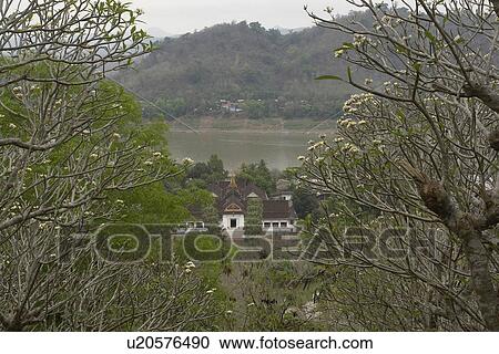 prabang, person, luang, view, laos, people View Large Photo Image Stock Image - prabang, person, luang, view, laos, people. Fotosearch