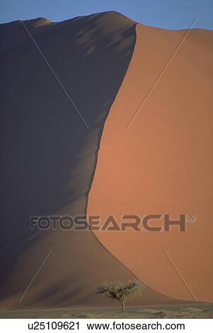 Stock Image - red, pattern, large, texture, nature, tree. Fotosearch