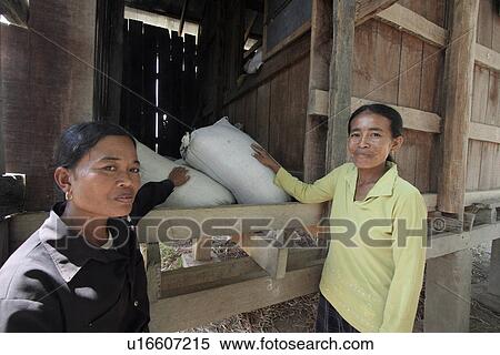 Stock Photography - rice, people, cambodia, women, person, woman. Fotosearch