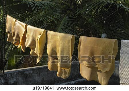 Stock Image - rubber, nature, india, sun, texture, pattern. Fotosearch