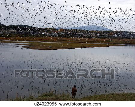 sakhalin, person, tunaycha, lake, russia, people View Large Photo Image Stock Photography - sakhalin, person, tunaycha, lake, russia, people. Fotosearch