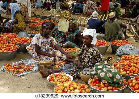 sale, person, tomatoes, mali, 3073, people View Large Photo Image Stock Photo - sale, person, tomatoes, mali, 3073, people. Fotosearch