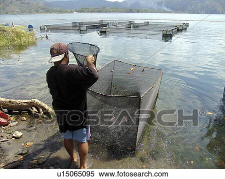 salvador, frame, fish, person, people, fashion View Large Photo Image Stock Photography - salvador, frame, fish, person, people, fashion. Fotosearch