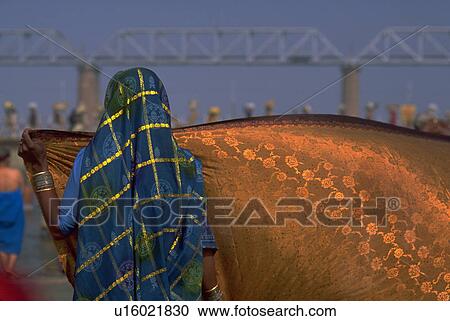 sari, hindu, spreading, female, peasant, woman View Large Photo Image Stock Image - sari, hindu, spreading, female, peasant, woman. Fotosearch