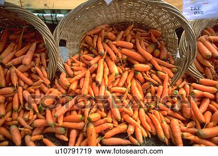 saturday, nature, carrots, baskets, texture, pattern View Large Photo Image Stock Photo - saturday, nature, carrots, baskets, texture, pattern. Fotosearch