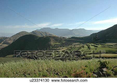 shoa, person, northern, landscapes, ethiopia, people View Large Photo Image Stock Image - shoa, person, northern, landscapes, ethiopia, people. Fotosearch