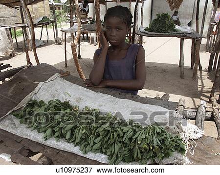 shop, girl, small, zambia, person, people View Large Photo Image Stock Photo - shop, girl, small, zambia, person, people. Fotosearch