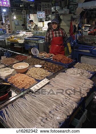 Stock Image - squid, people, korea, fish, person, food. Fotosearch